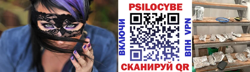 Псилоцибиновые грибы Psilocybine cubensis  Пудож 