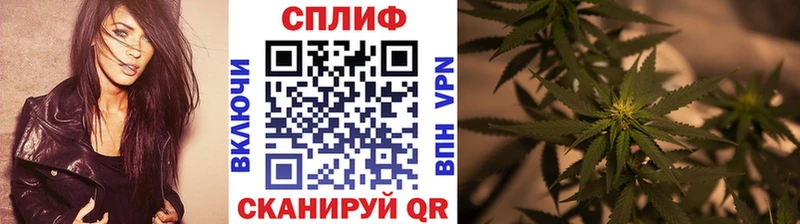 Бошки марихуана Amnesia  закладки  Пудож 